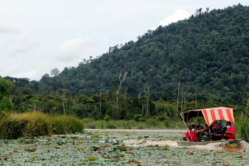 Tasik Chini — galeri 2