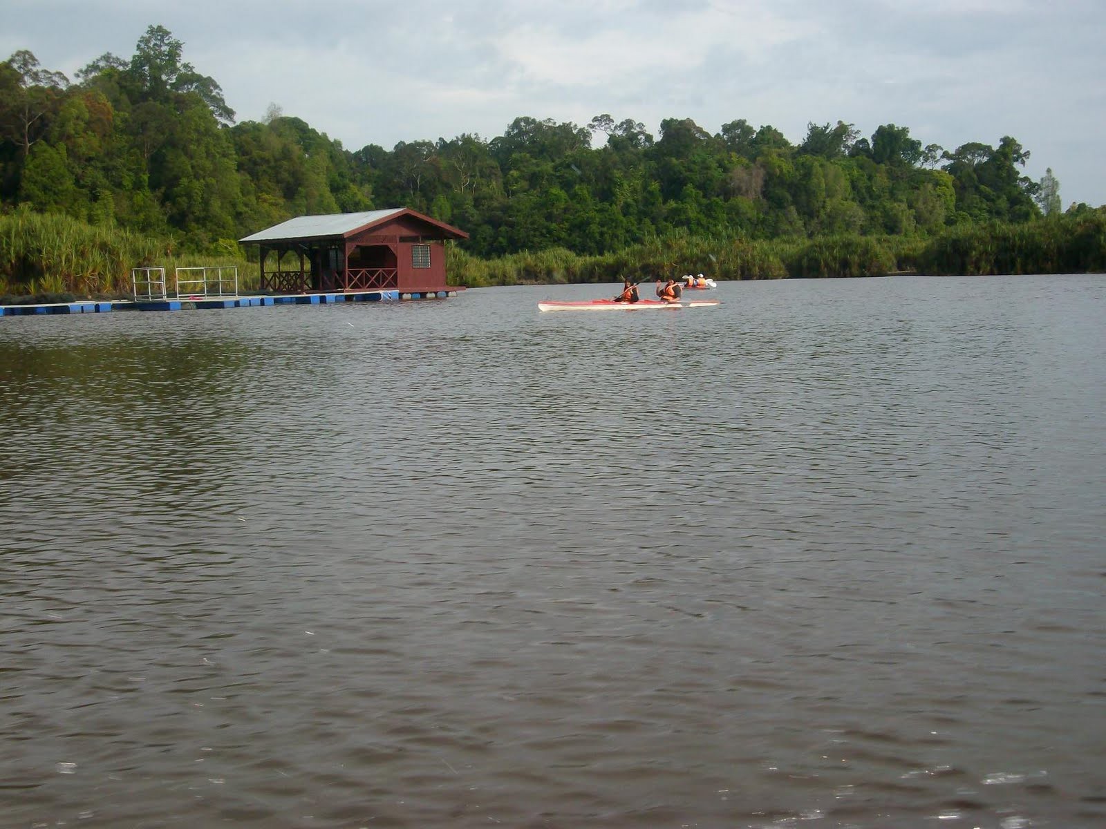 Tasik Bera — galeri 2