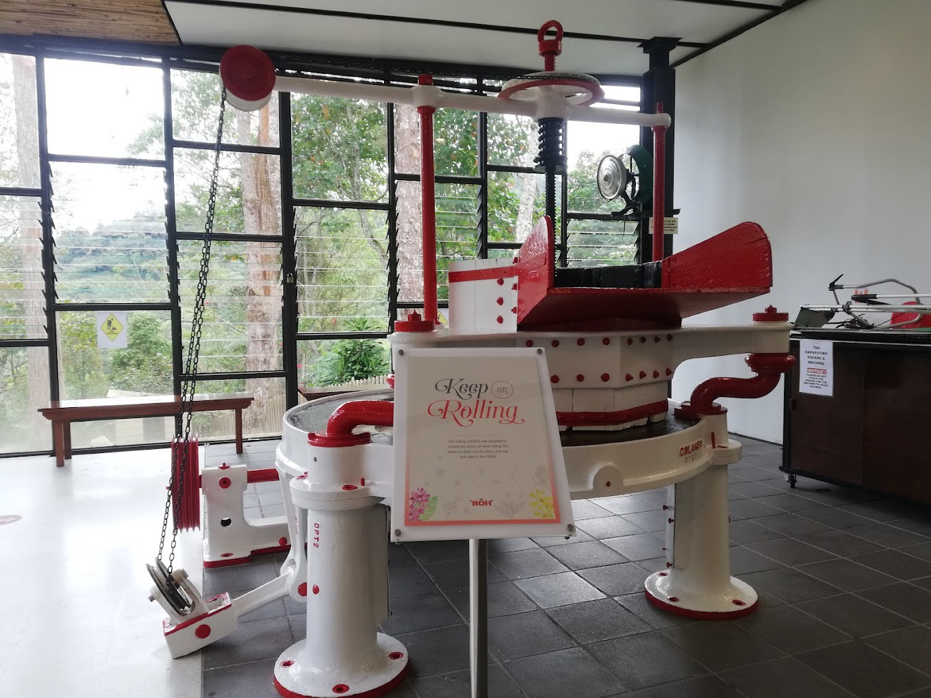 Gambar galeri BOH Tea Centre Sungai Palas