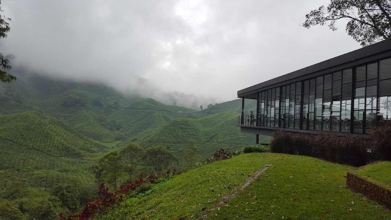 Gambar galeri BOH Tea Centre Sungai Palas