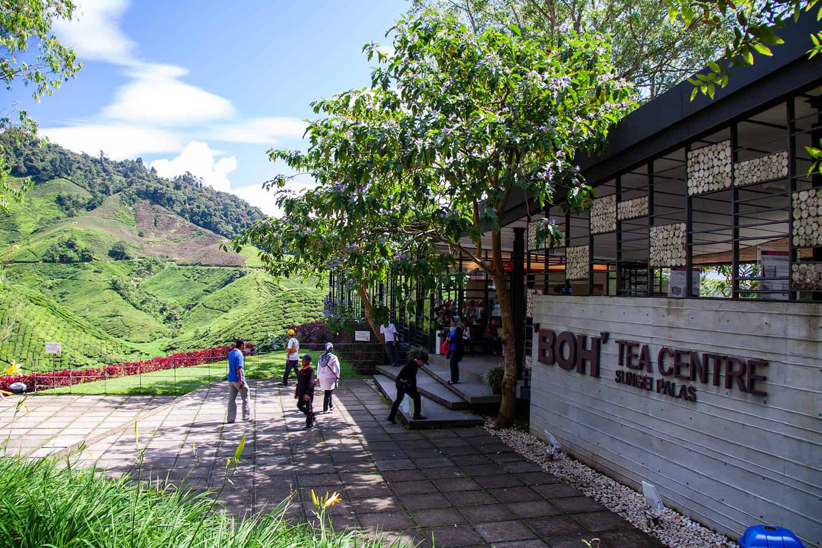 BOH Tea Centre Sungai Palas — galeri 3
