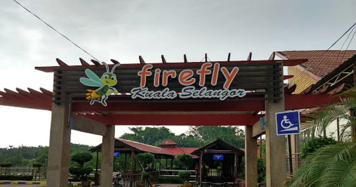 Kampung Kuantan Fireflies Park — galeri 2