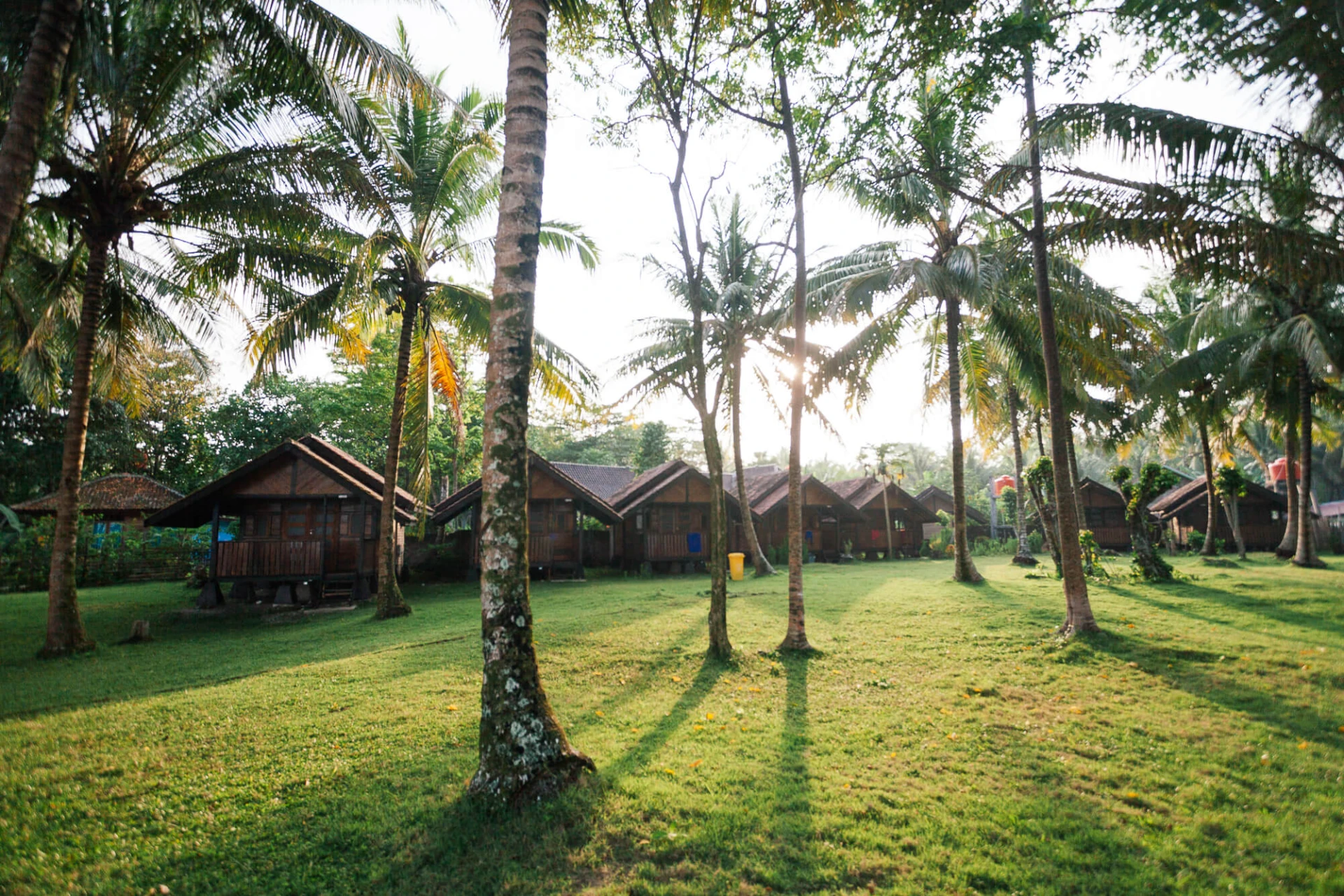 Kampung Kuantan Fireflies Park — galeri 3