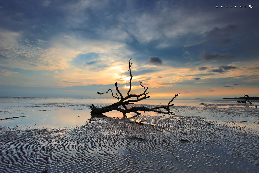 Gambar Pantai Kelanang