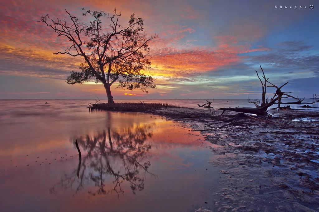 Pantai Kelanang — galeri 4