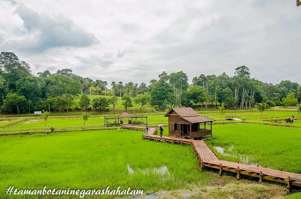 Gambar Taman Botani Negara Shah Alam
