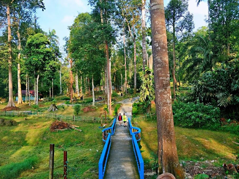 Taman Botani Negara Shah Alam — galeri 2