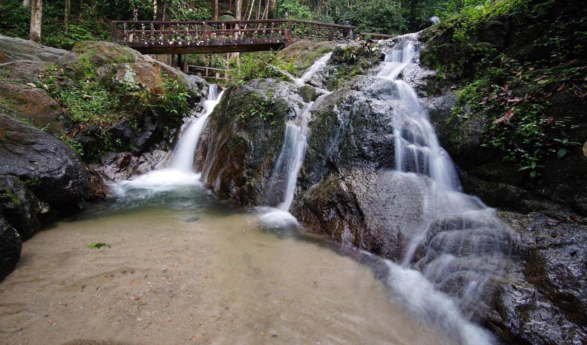 Taman Rimba Komanwel — galeri 3