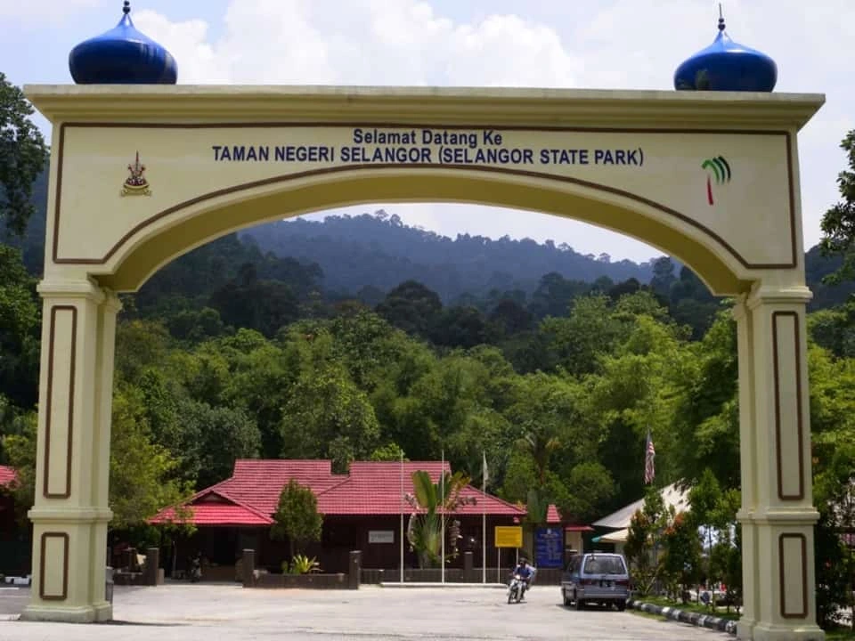 Gambar Taman Eko Rimba Sungai Tua