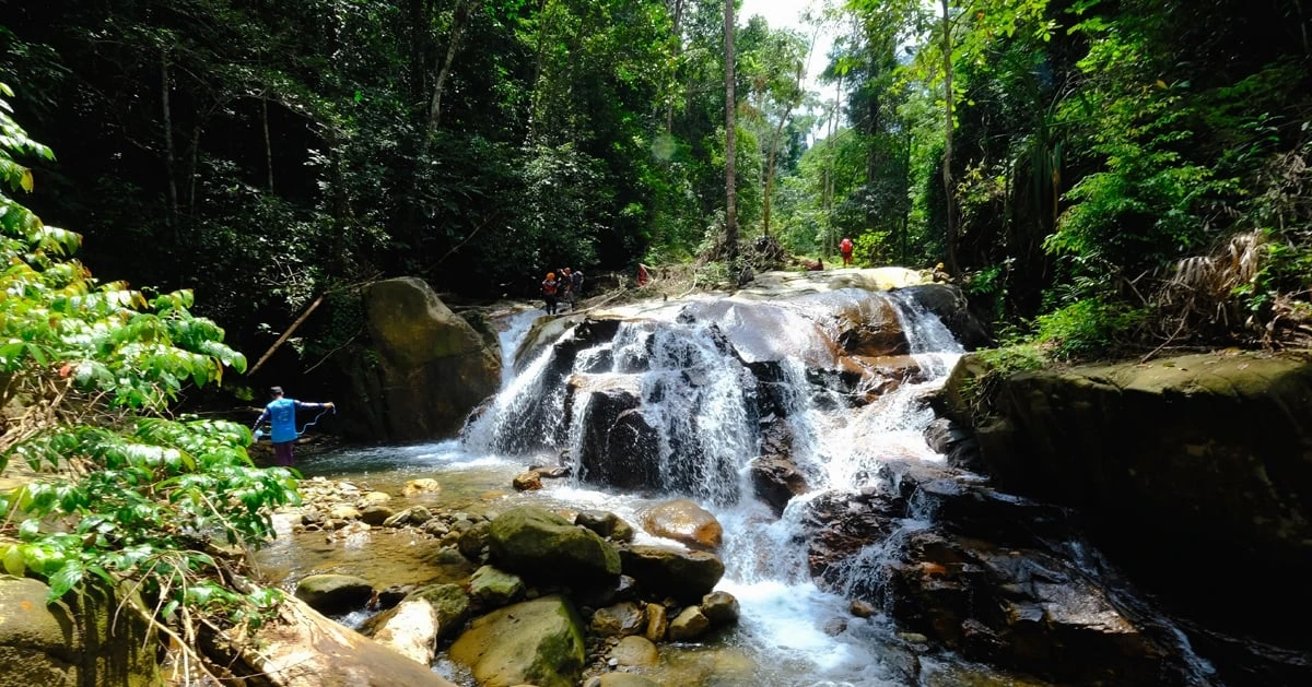 Taman Eko Rimba Sungai Tua — galeri 2