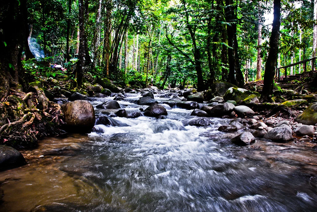 Taman Eko Rimba Sungai Tua — galeri 3