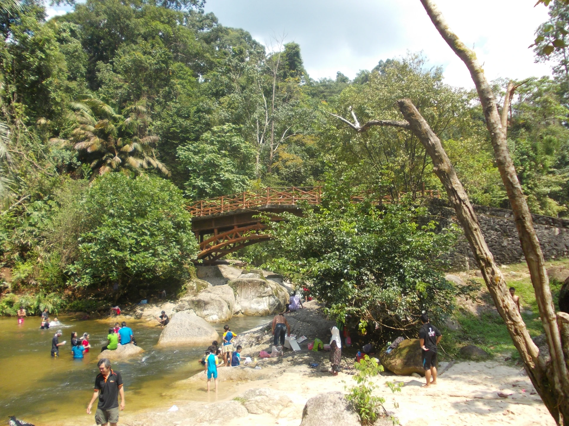 Taman Eko Rimba Sungai Tua — galeri 4