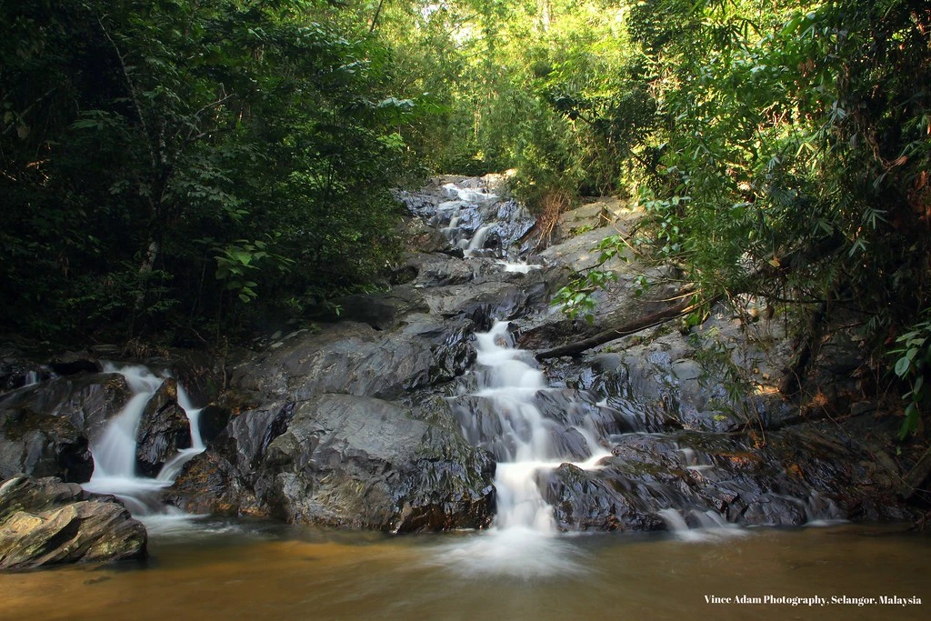Templer Park — galeri 4