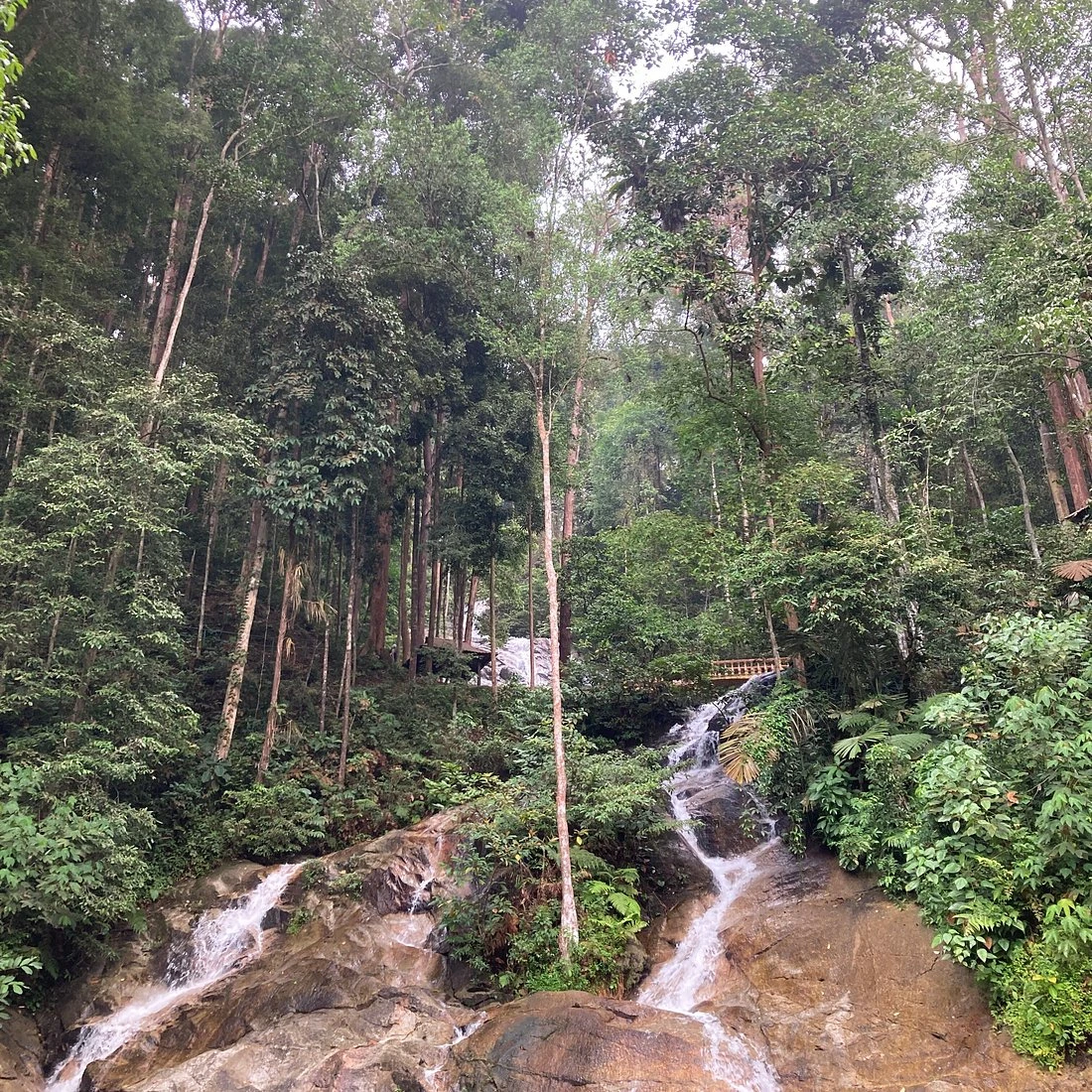Templer Park — galeri 3