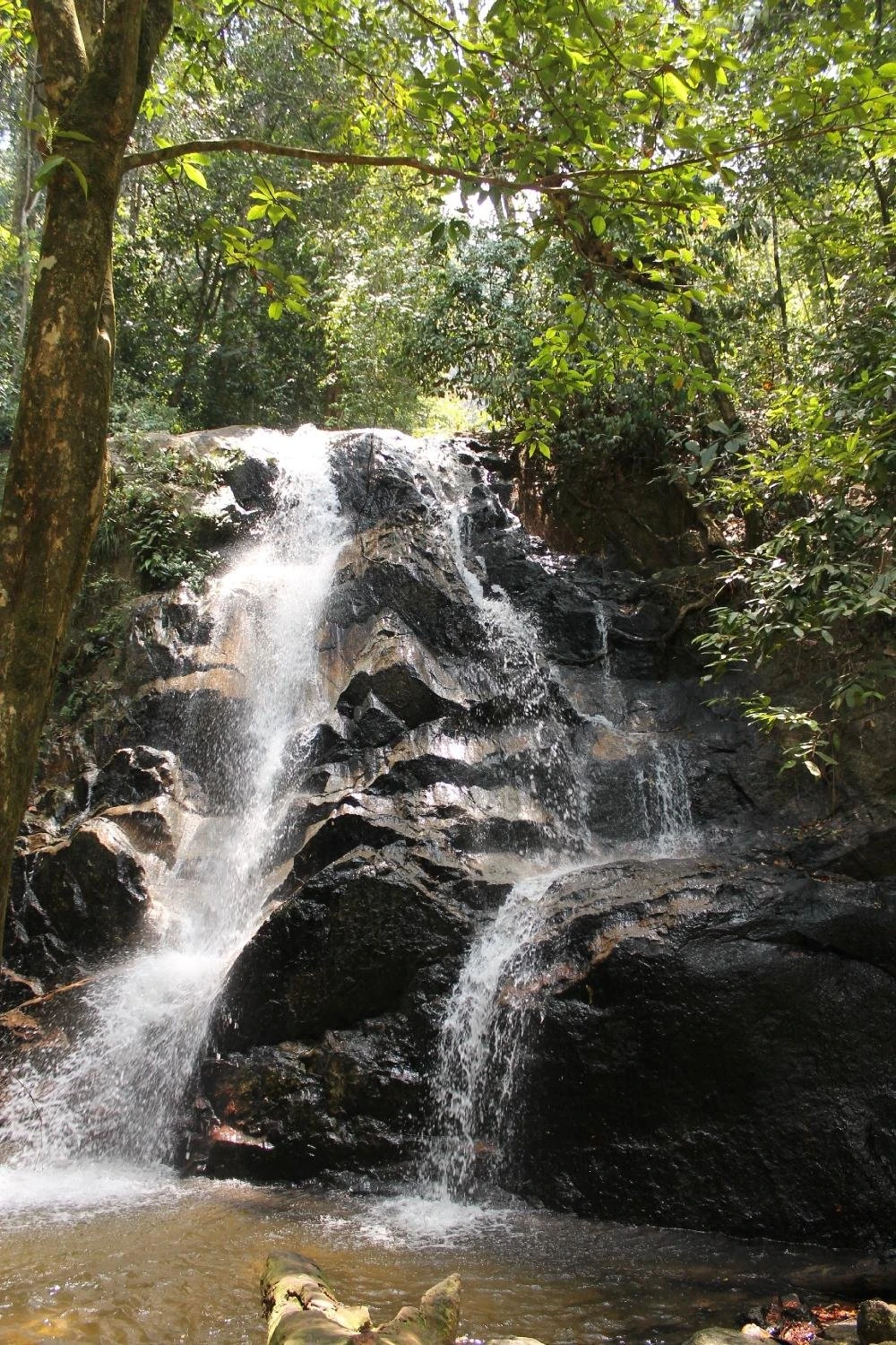 Templer Park — galeri 2