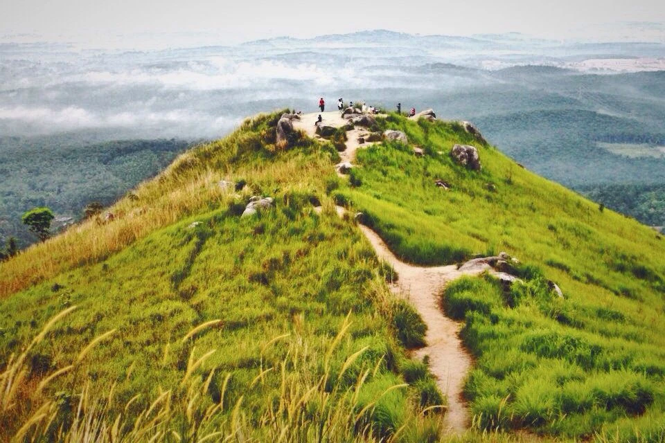 Broga Hill — galeri 4