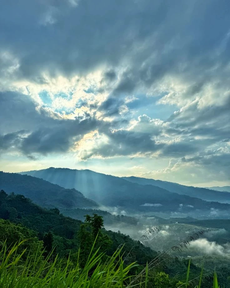 Broga Hill — galeri 3