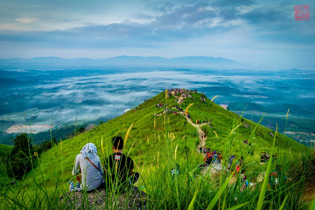Broga Hill — galeri 2