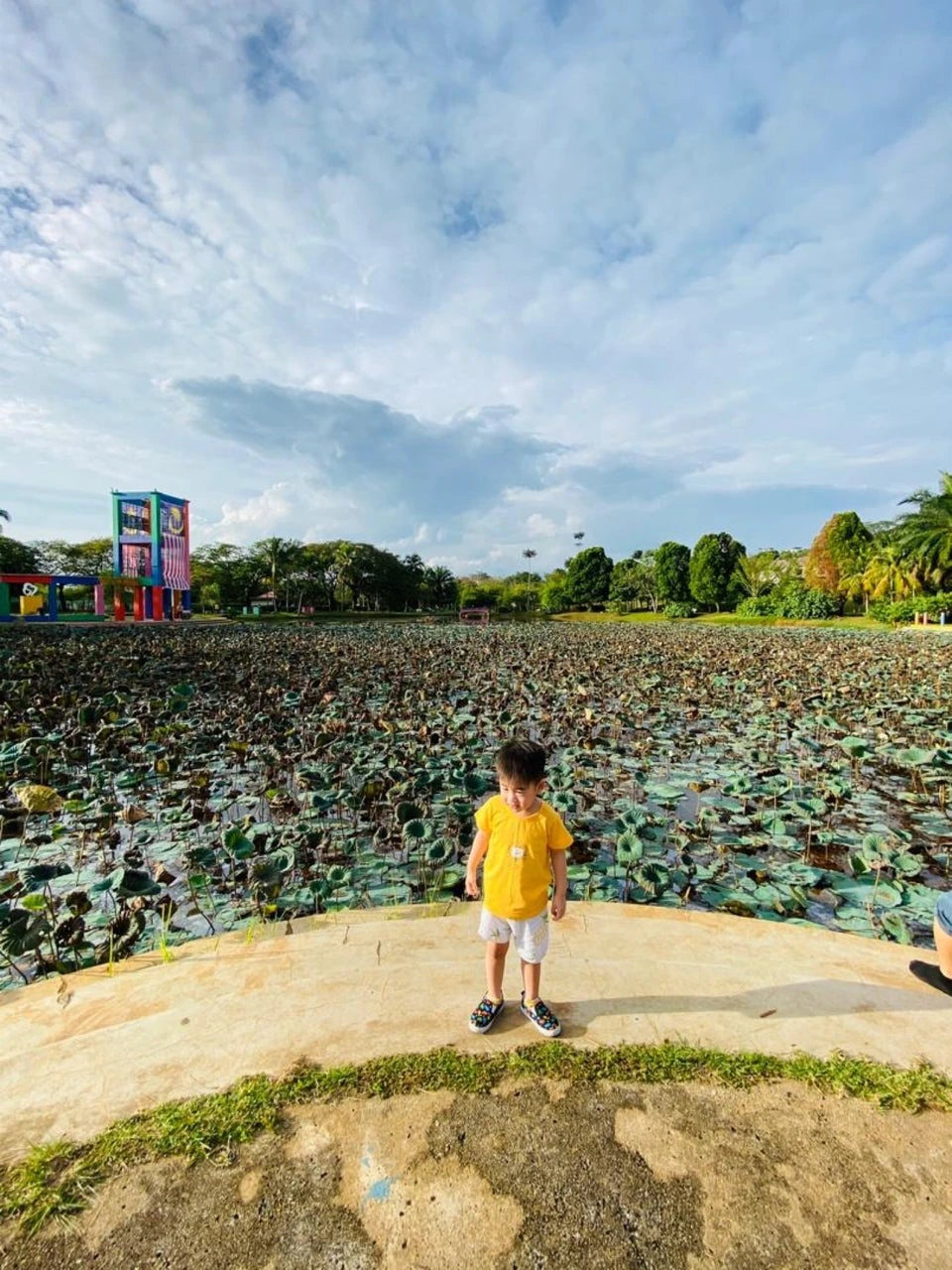 Gambar Taman Wawasan Puchong