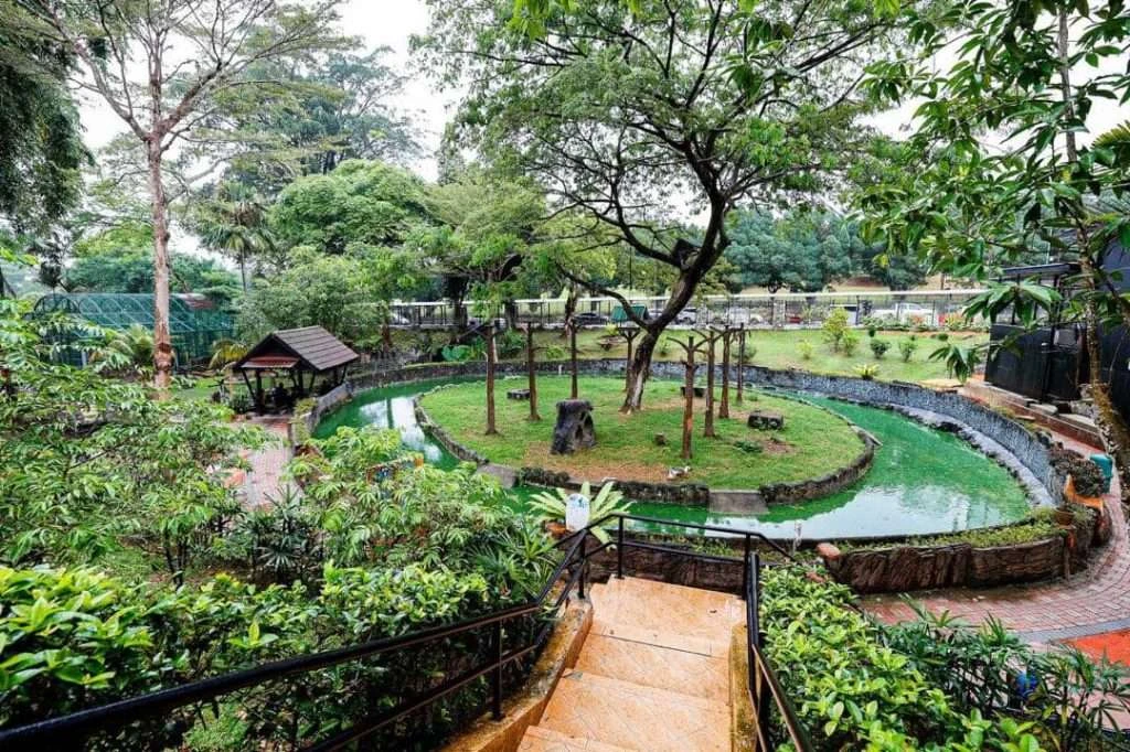 Zoo Johor — galeri 2