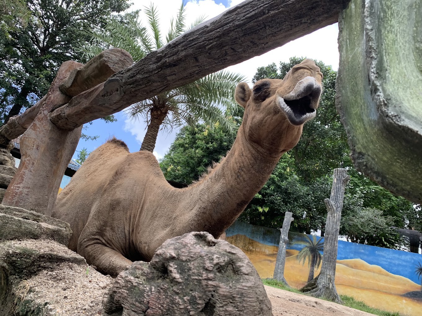Gambar galeri Zoo Johor