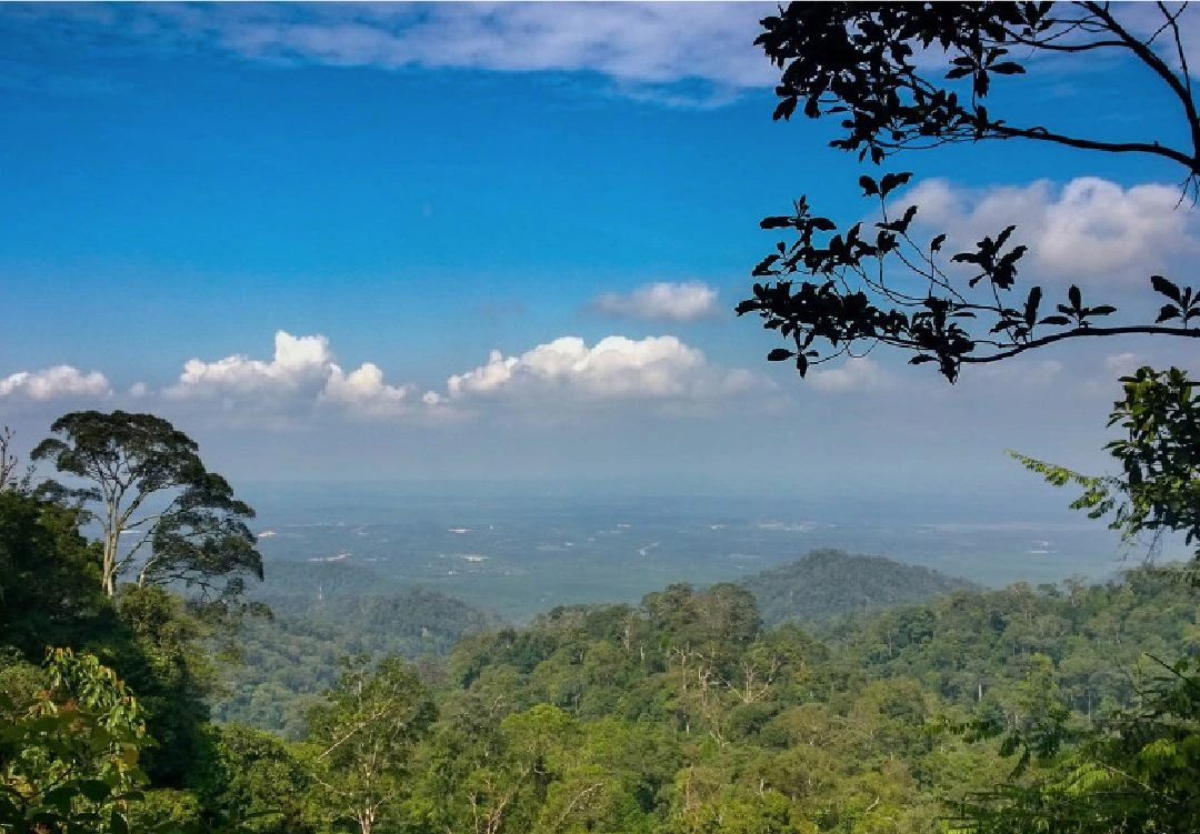 Gambar Gunung Panti Recreational Forest