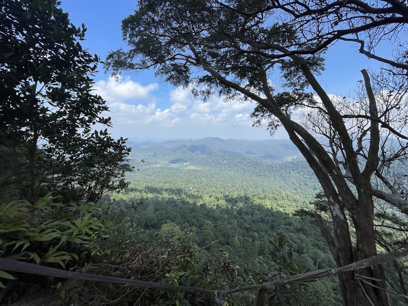 Gambar galeri Gunung Panti Recreational Forest