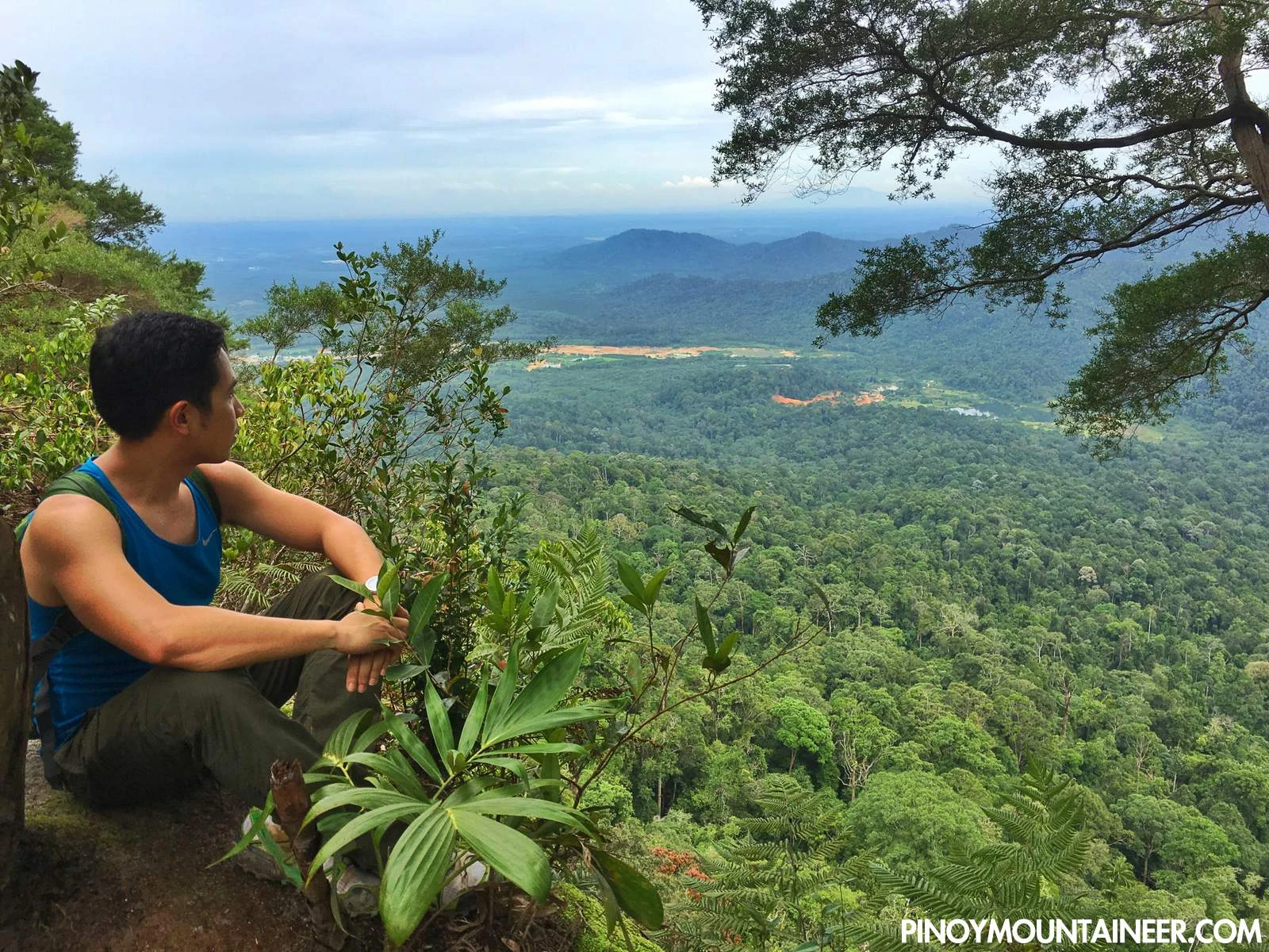 Gunung Panti Recreational Forest — galeri 4