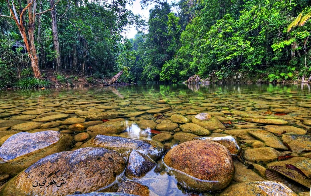 Taman Negara Johor Endau-Rompin Peta — galeri 4