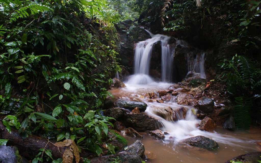 Taman Rekreasi Gunung Lambak — galeri 2