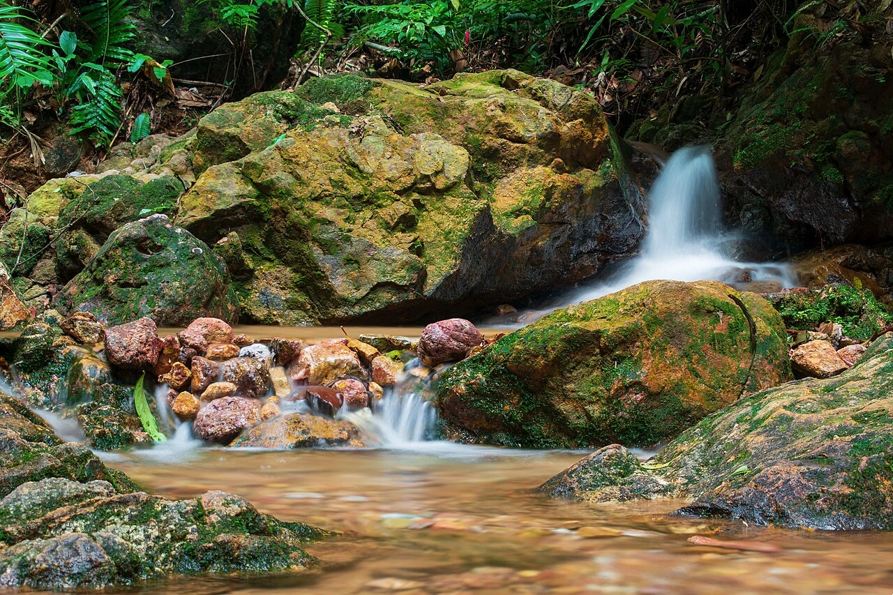 Taman Rekreasi Gunung Lambak — galeri 4