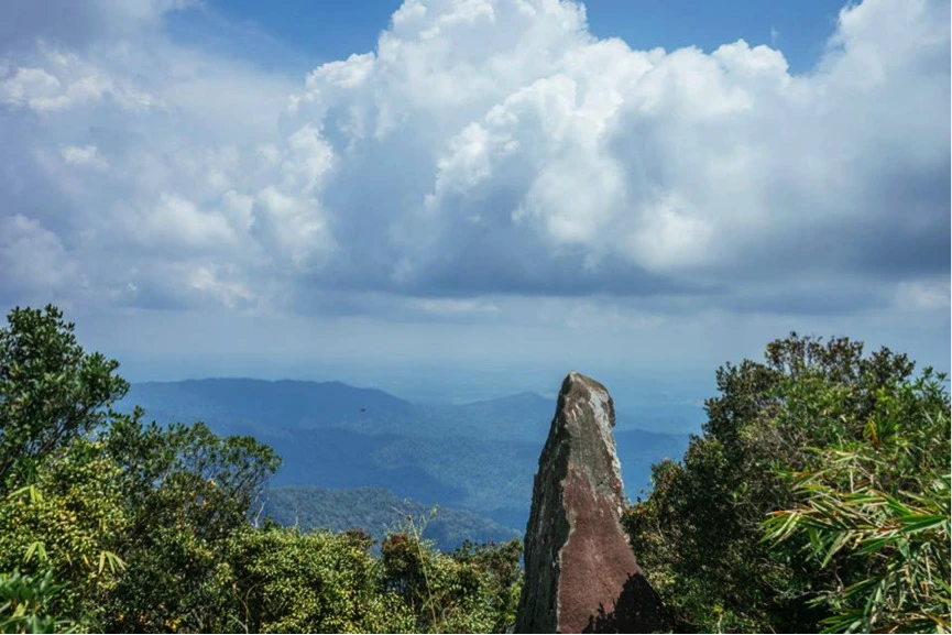 Taman Eko Rimba Gunung Belumut — galeri 3