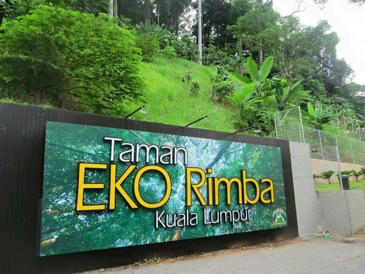 Taman Eko Rimba Gunung Belumut — galeri 4
