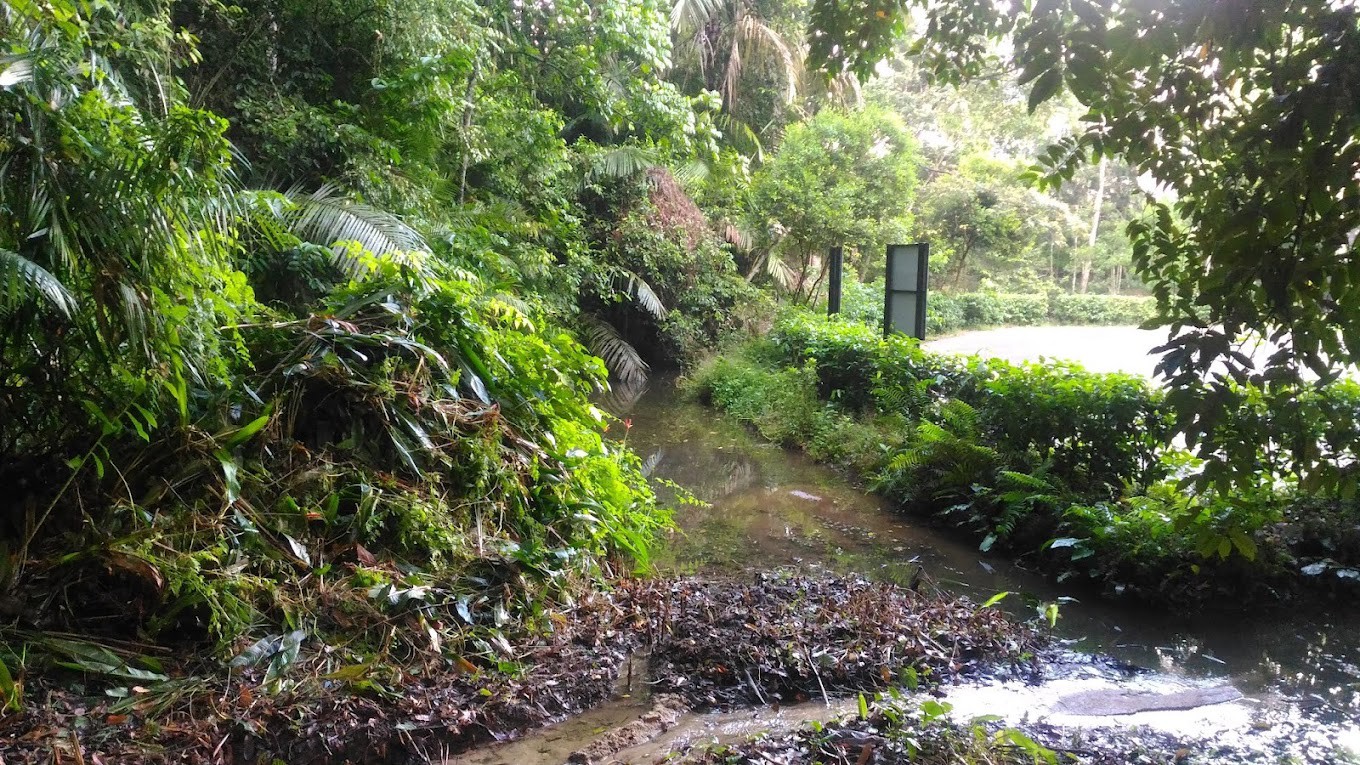 Gambar galeri Hutan Lipur Soga Perdana
