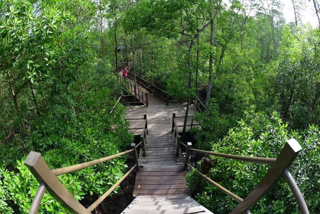 Gambar Taman Negara Tanjung Piai