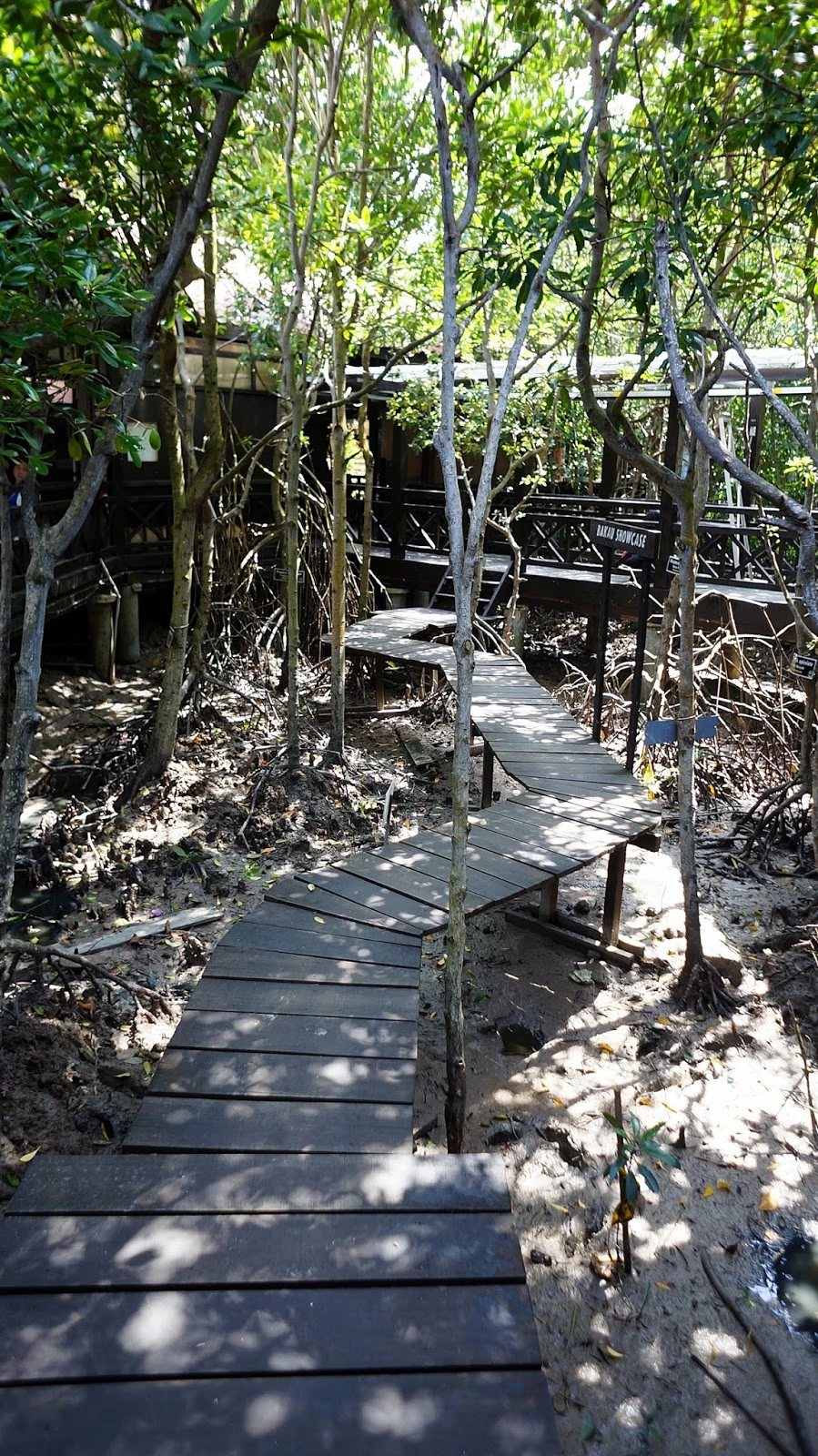 Taman Negara Tanjung Piai — galeri 2
