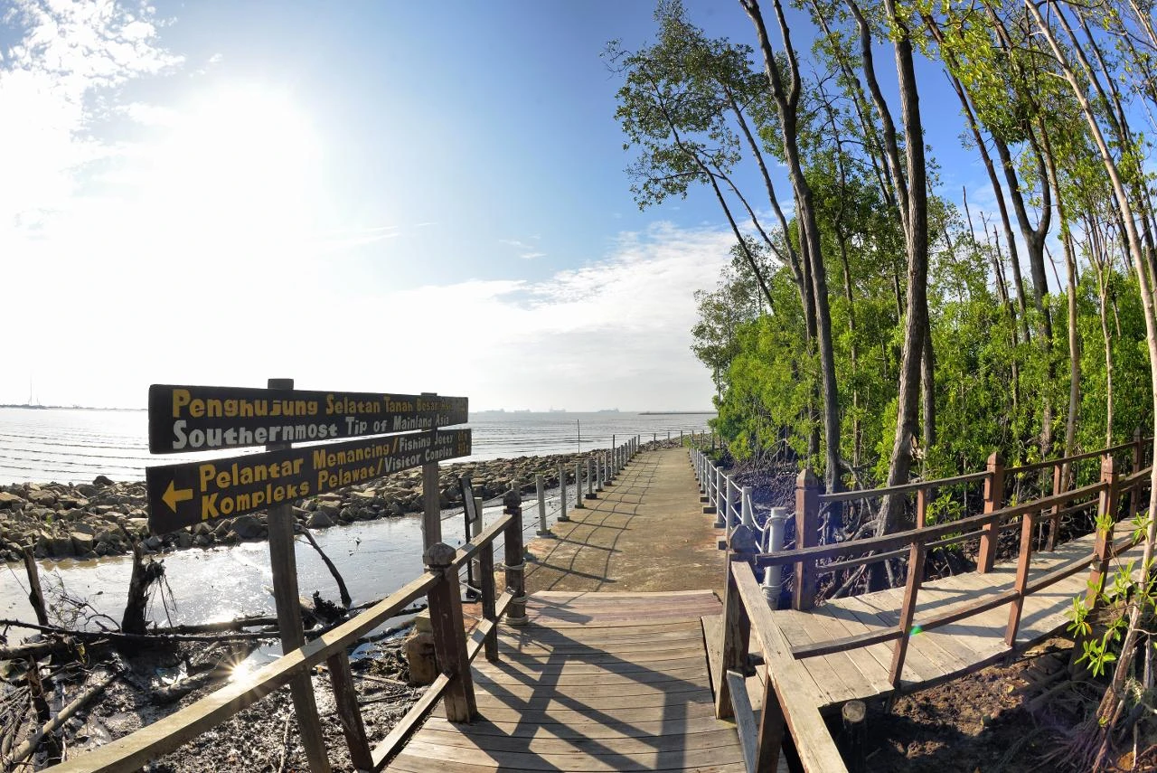 Taman Negara Tanjung Piai — galeri 3