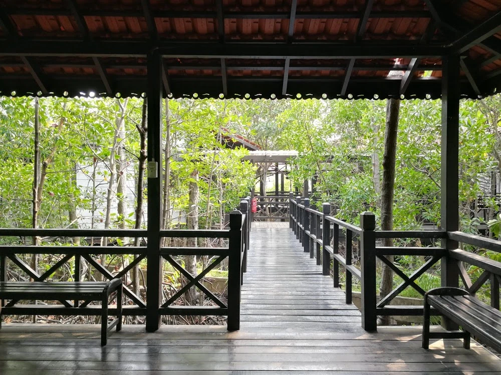 Taman Negara Tanjung Piai — galeri 4