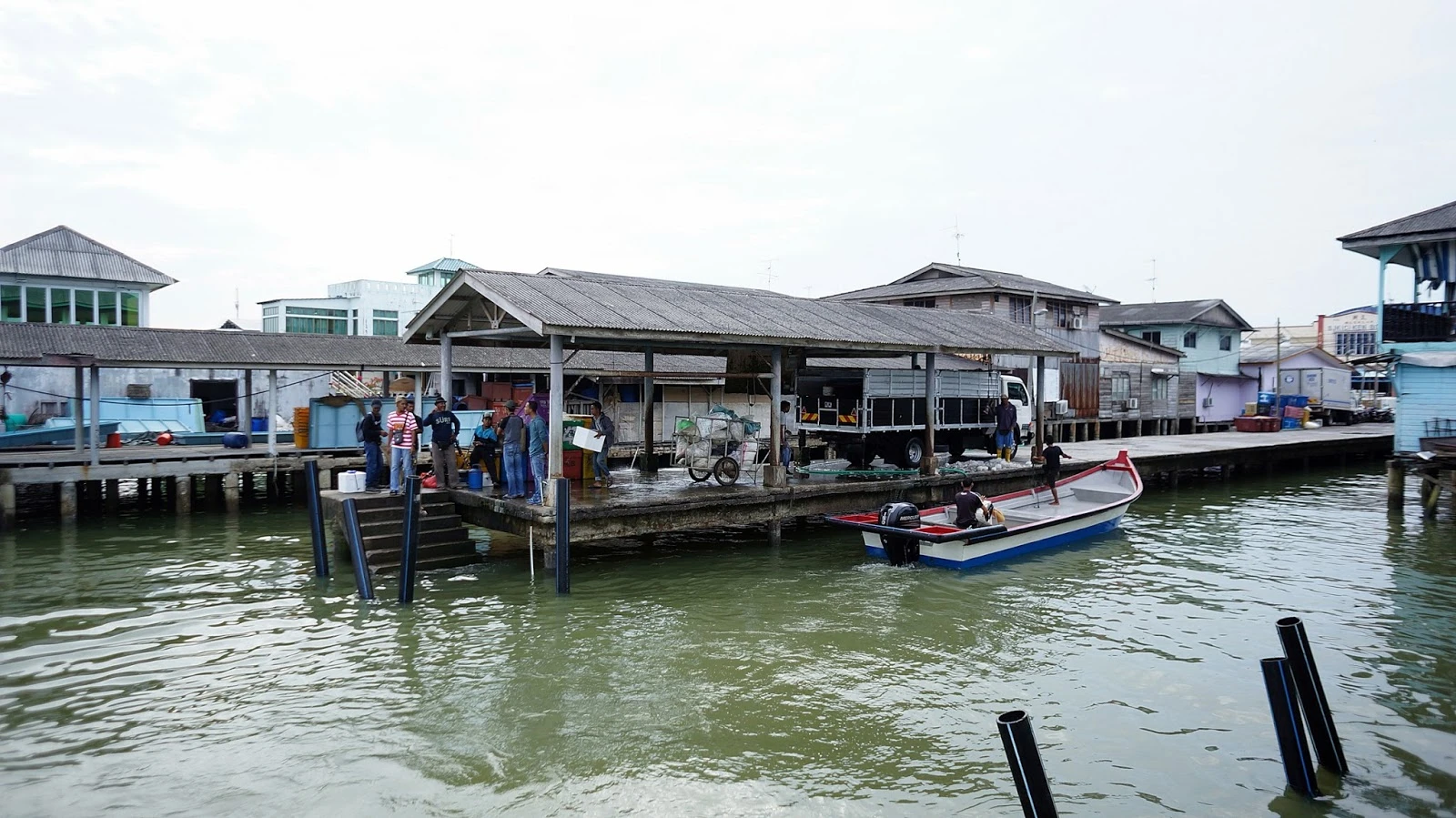 Taman Negara Pulau Kukup — galeri 2