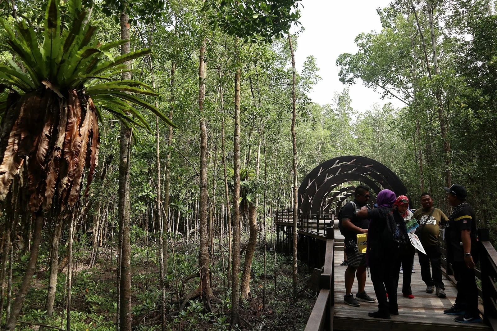 Taman Negara Pulau Kukup — galeri 4