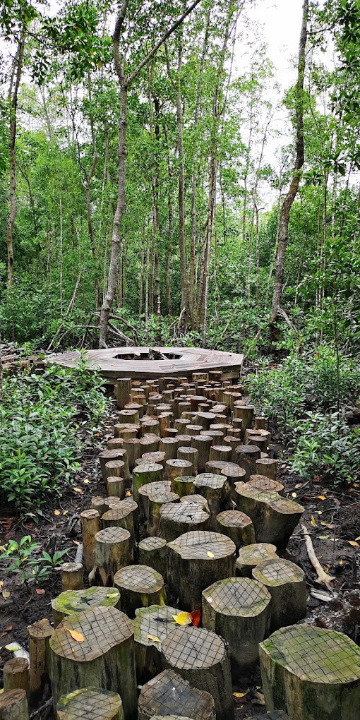 Gambar galeri Taman Negara Pulau Kukup