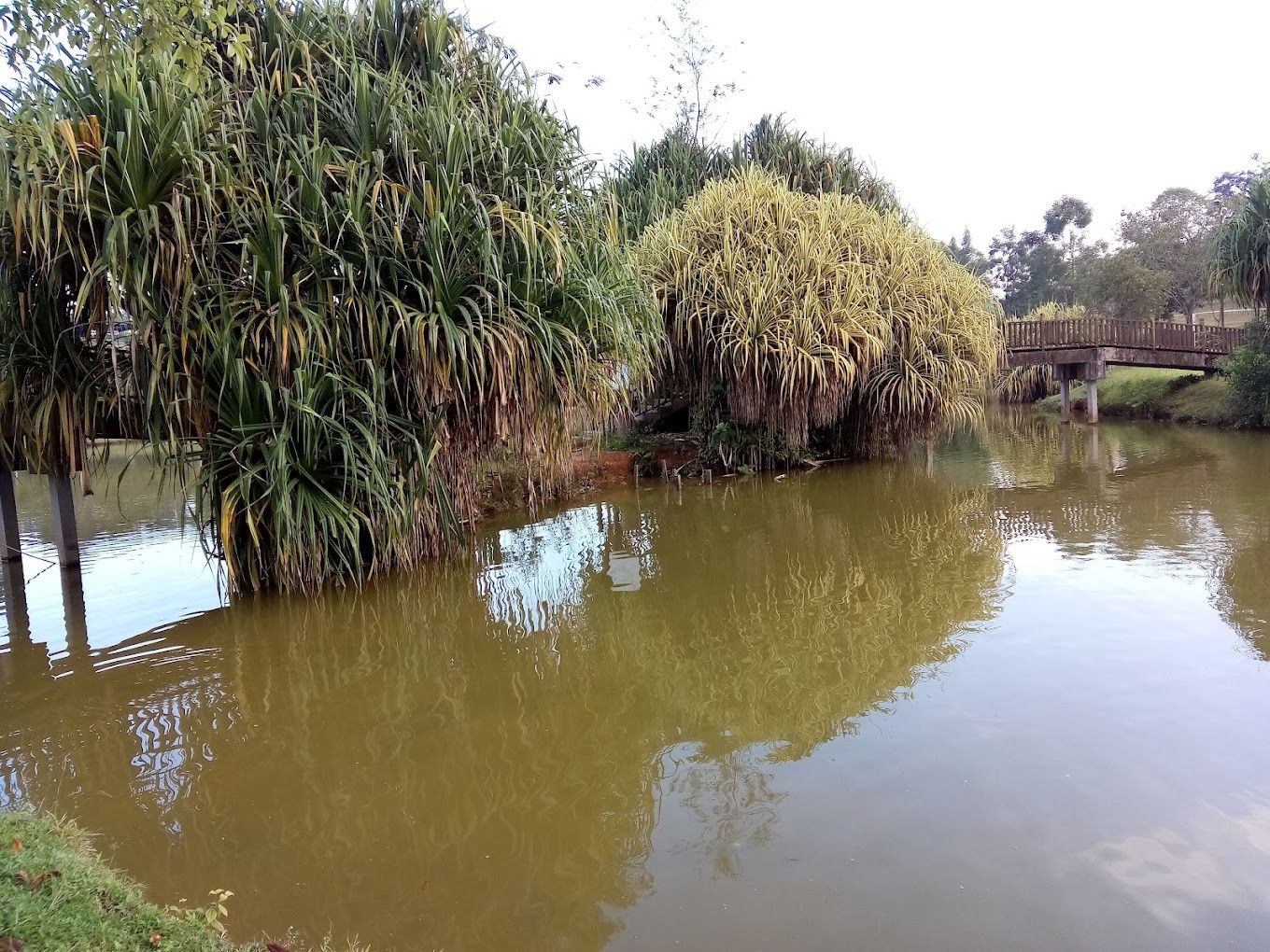 Gambar galeri Hutan Bandar Putra Kulai