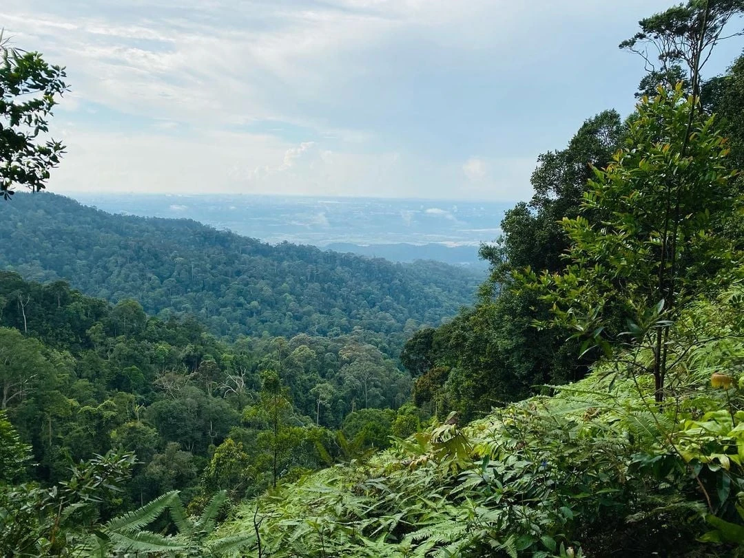 Gunung Pulai Recreational Forest — galeri 3
