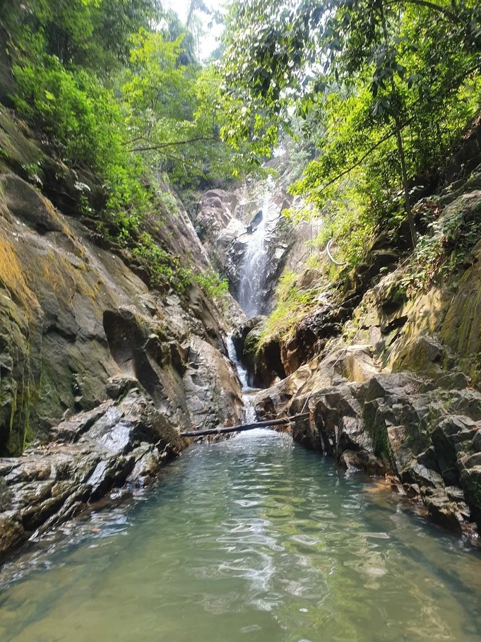 Gunung Pulai Recreational Forest — galeri 2
