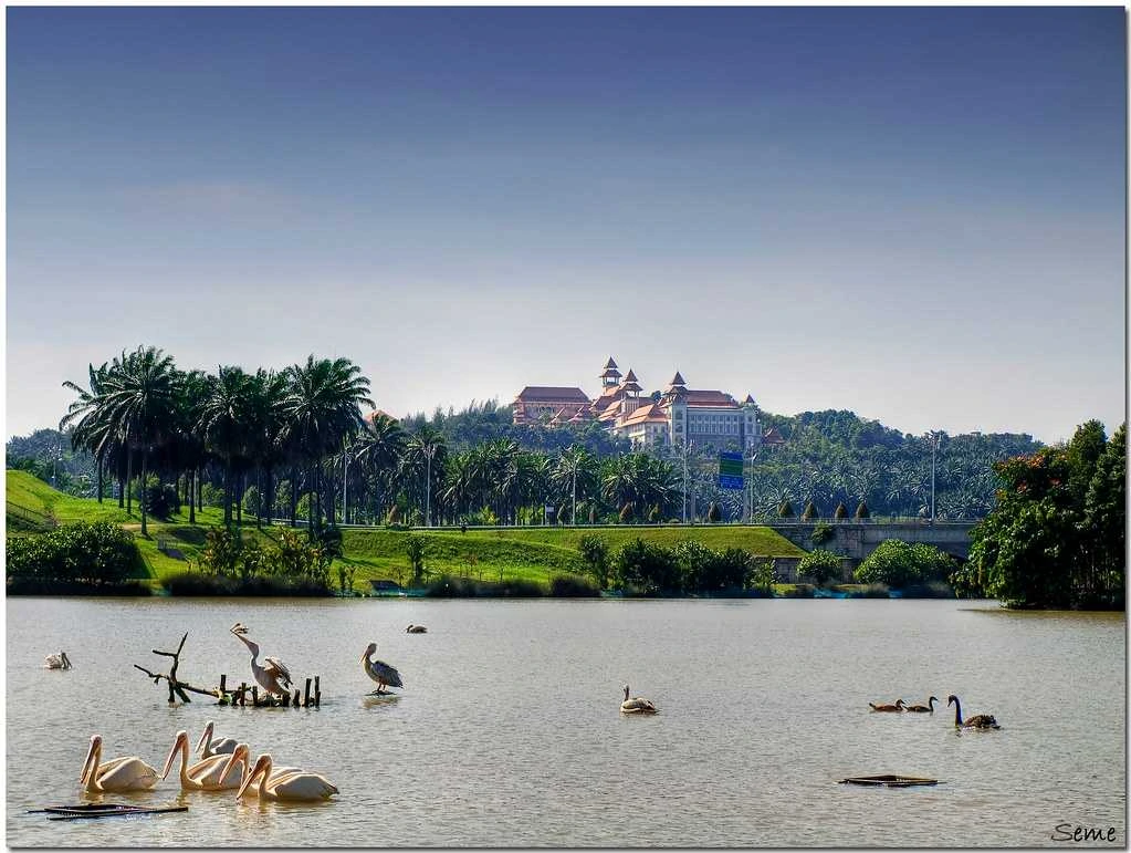 Gambar Taman Wetland Putrajaya