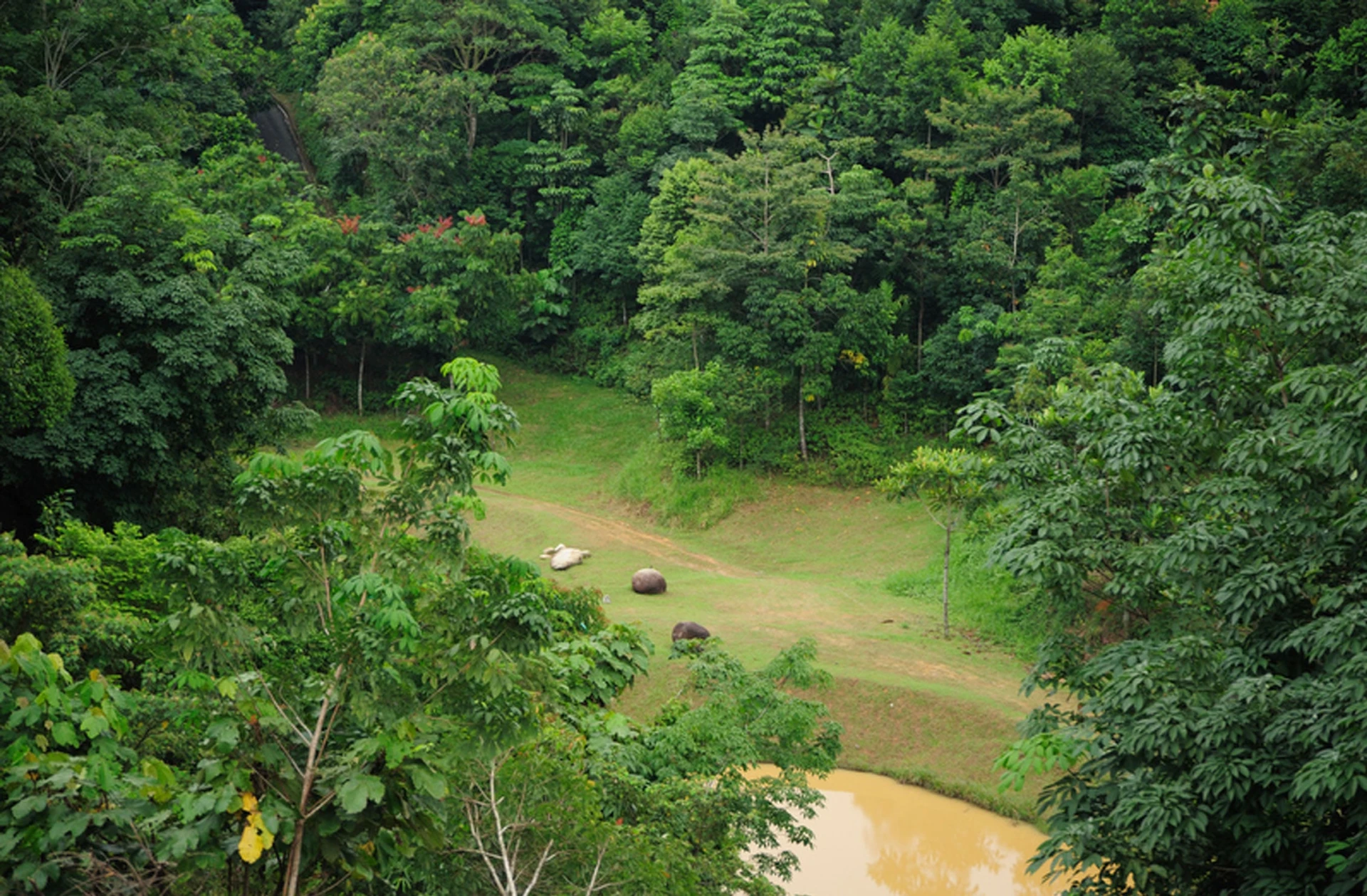 Taman Rimba Alam — galeri 3