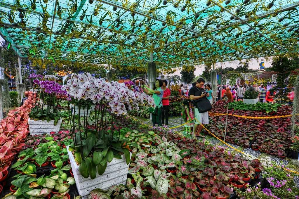 Anjung Floria Putrajaya — galeri 2