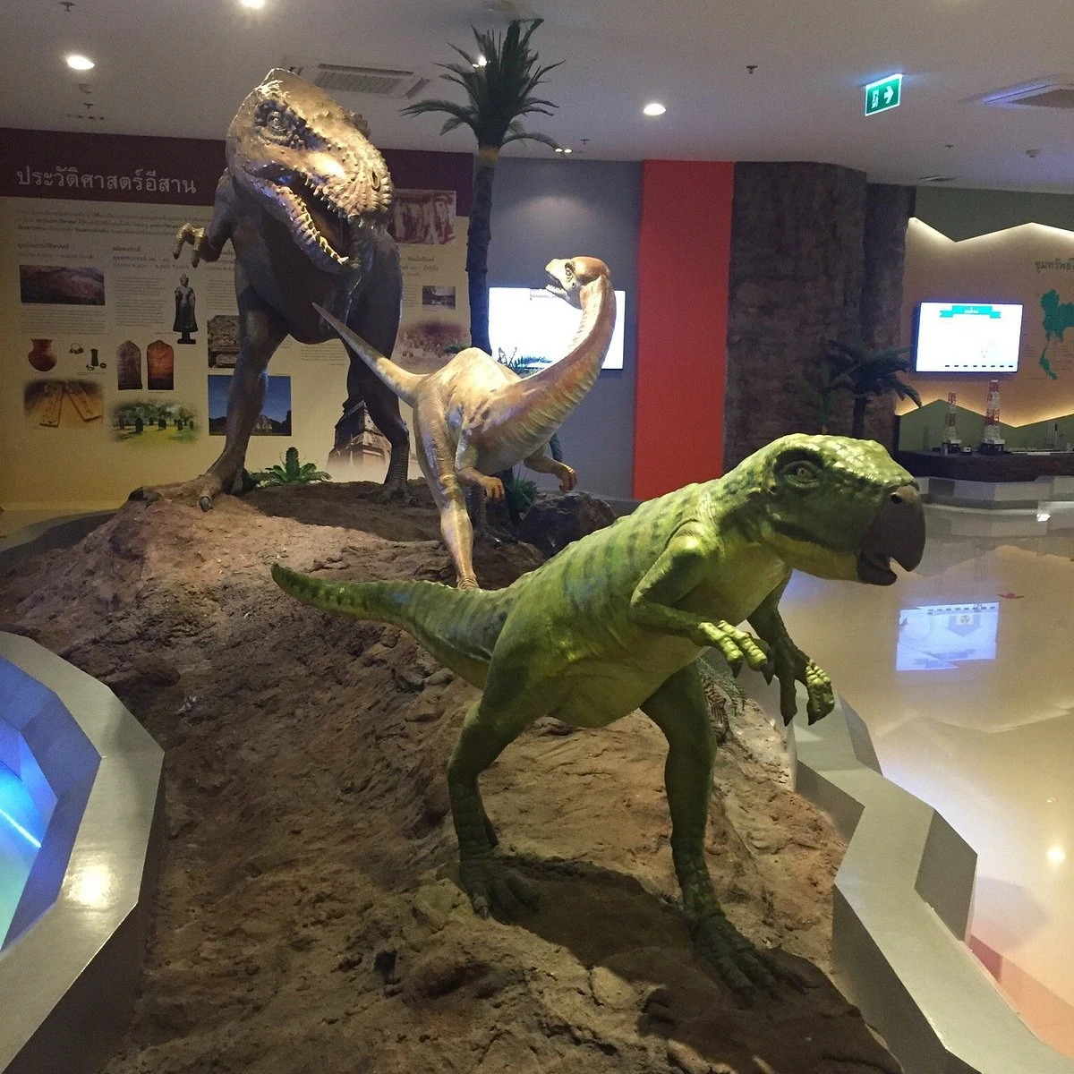 Muzium Alam Semula Jadi — galeri 4