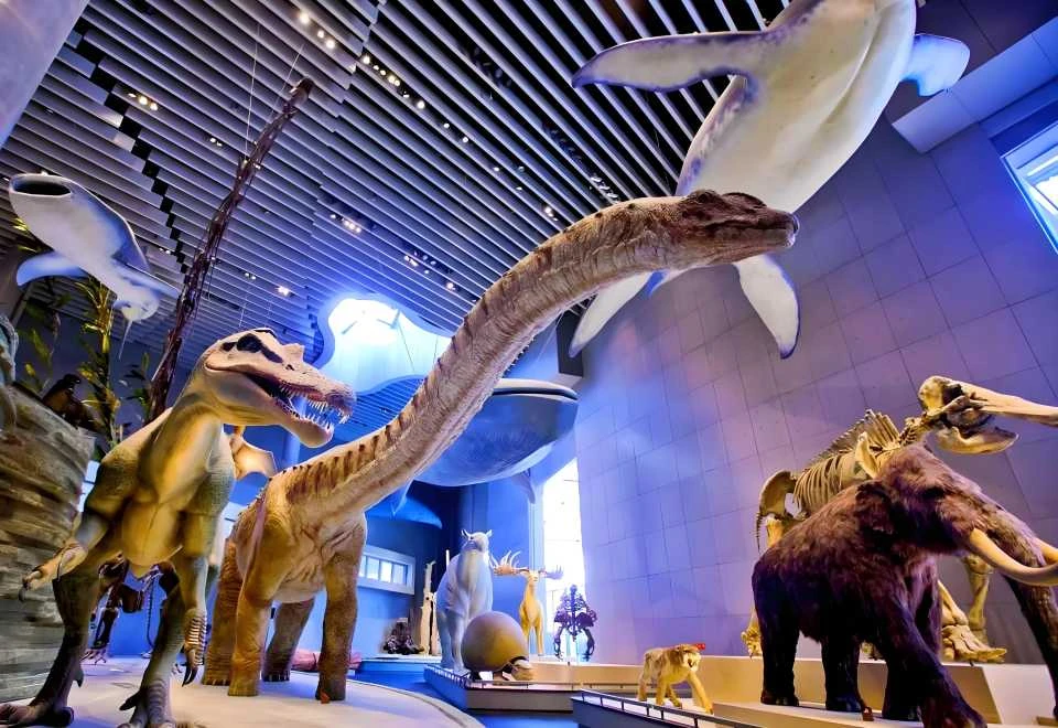 Muzium Alam Semula Jadi — galeri 3