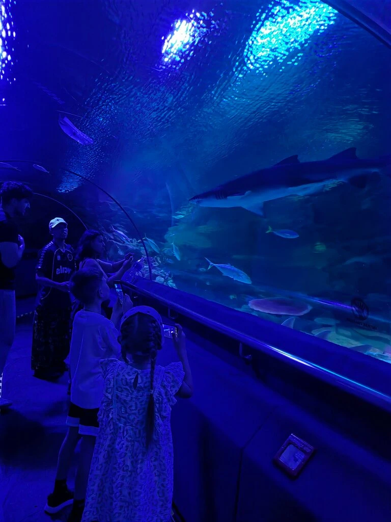 Gambar Aquaria KLCC